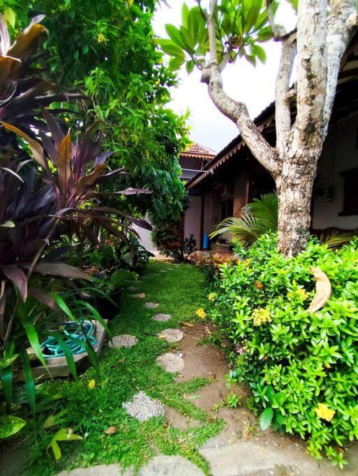 Niki Mawon Homestay Kejayan Bagian luar foto
